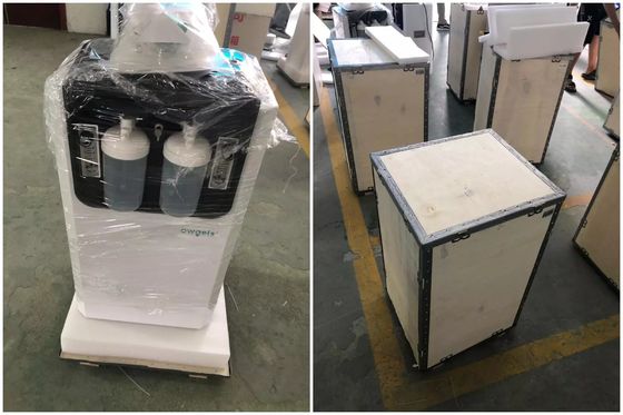 Generador del oxígeno de la pureza elevada 0.05mpa de Lmp 10 litros con la botella/Nebulization del humectador