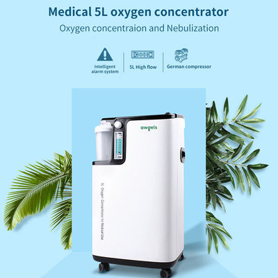 Pureza elevada de poco ruido del concentrador médico portátil el 96% del oxígeno 5L